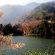 龙岩水上茶乡九鹏溪天气